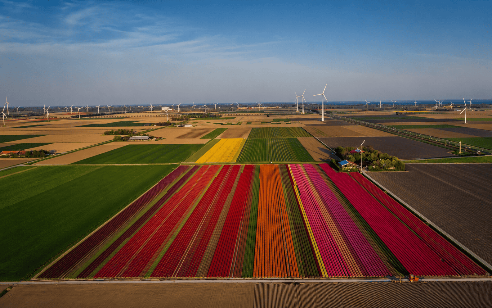 Flevoland